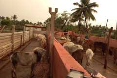 IMG-20230814-WA0023