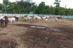 IMG-20230814-WA0056