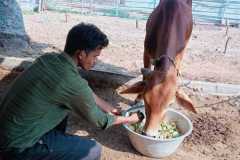 IMG-20240501-WA0006