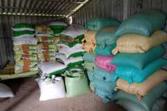 IMG-20241003-WA0024