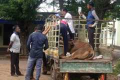 IMG-20241227-WA0003