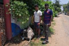 IMG-20250525-WA0002